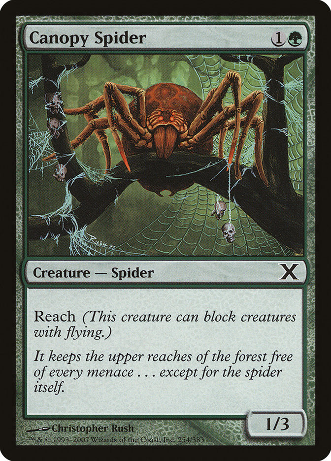 Canopy Spider [Tenth Edition] 