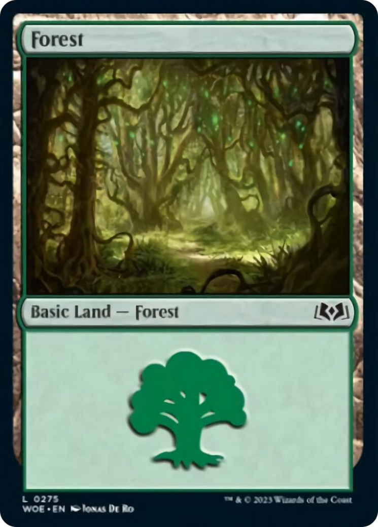 Forest (0275) [Wilds of Eldraine] 