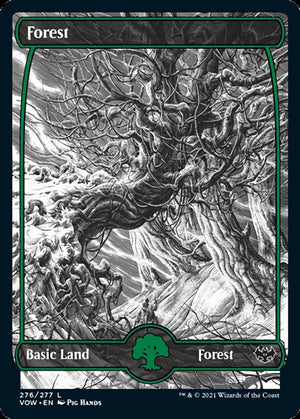 Forest (276) [Innistrad: Crimson Vow] 