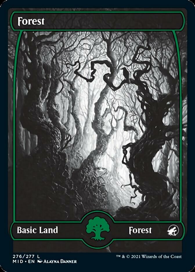 Forest (276) [Innistrad: Midnight Hunt] 