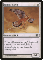 Suntail Hawk (Oversized) [Eighth Edition Box Topper] 