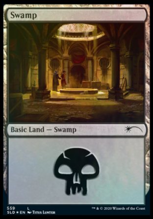 Swamp (Rogues) (559) [Secret Lair Drop Promos] 