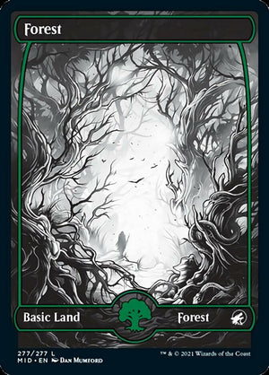 Forest (277) [Innistrad: Midnight Hunt] 