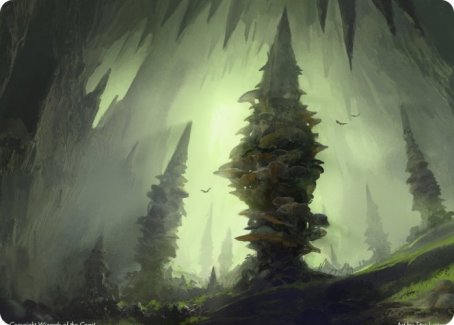 Forest (280) Art Card [Dungeons &amp; Dragons: Adventures in the Forgotten Realms Art Series] 