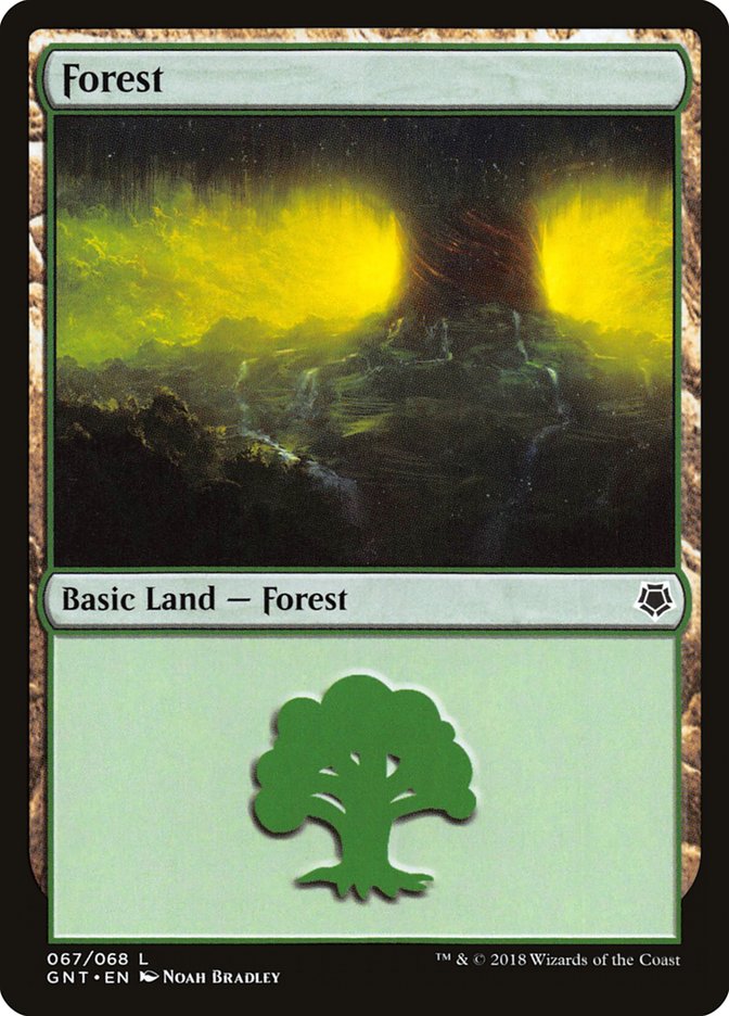 Forest (67) [Game Night 2018] 