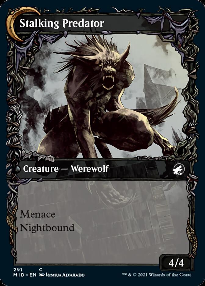 Shady Traveler // Stalking Predator (Showcase Equinox) [Innistrad: Midnight Hunt] 