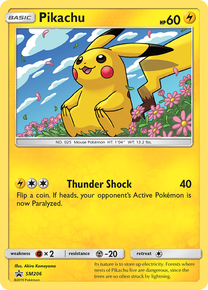 Pikachu (SM206) [Sun &amp; Moon: Black Star Promos] 