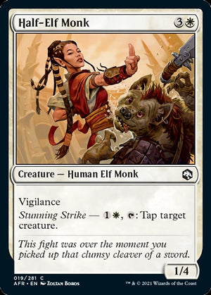 Half-Elf Monk [Dungeons &amp; Dragons: Adventures in the Forgotten Realms] 