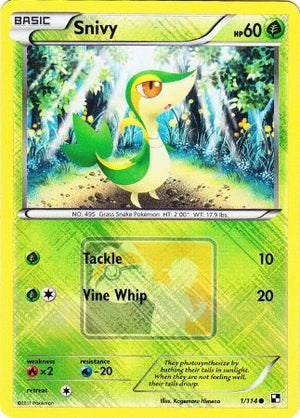 Snivy (1/114) (League Promo) [Black &amp; White: Base Set] 
