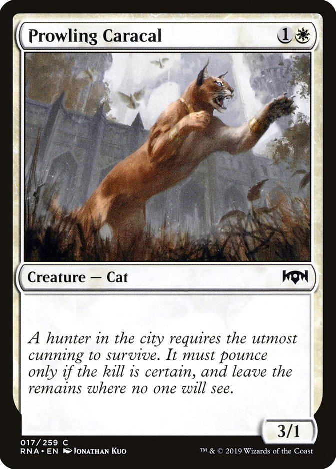 Prowling Caracal [Ravnica Allegiance] 